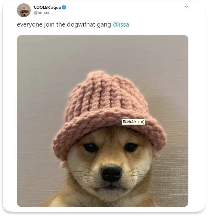 凝聚力活动_SOL币的用户参与活动：如何增强社区凝聚力与互动性_凝聚社区力量